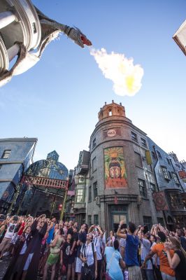 Diagon Alley Grand Opening 
(Thanks to Universal)
