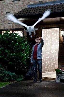 Everyone mounts up and leaves Privet Drive. Harry says goodbye to Hedwig. 
