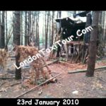 LondonTaxiTour_Com-Harry-Potter-Filming-Deathly-Hallows-Swinley-Forest-Pictures-23rd-Jan-2010-makeshift-shelter.jpg