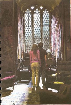 harry-hermione-agenda.jpg