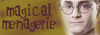 Magical-Menagerie