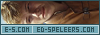 Ed Speelers