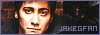 Jake Gyllenhaal Fan