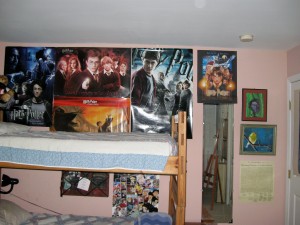 Megan Barrow Harry Potter Wall