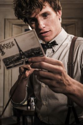 Newt Scamander reading a postcard from Paris
© JKR/Pottermore Ltd.™ Warner Bros.

