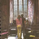 harry-hermione-agenda.jpg